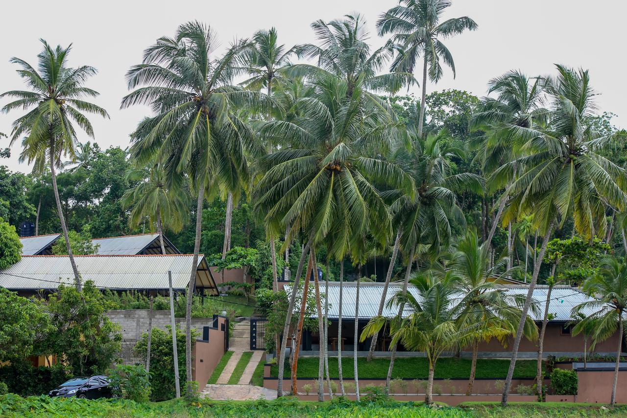 Nisala Villas ฮิกคาดูวา ภายนอก รูปภาพ